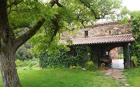 Bed And Breakfast Casanova De Sant Miquel