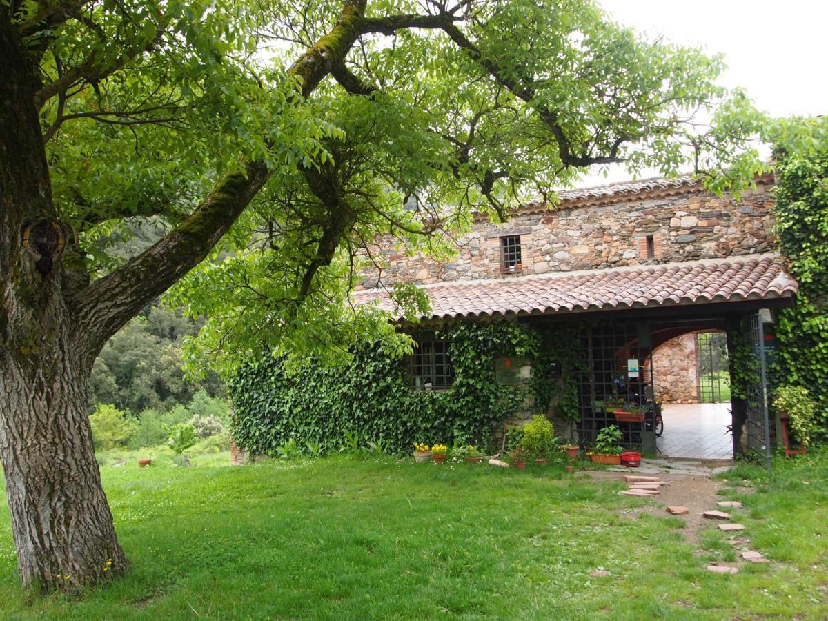 Bed And Breakfast Casanova De Sant Miquel Aiguafreda Buitenkant foto