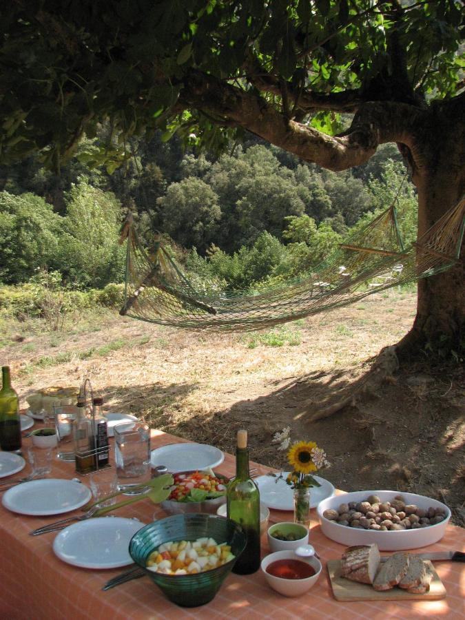 Bed And Breakfast Casanova De Sant Miquel Aiguafreda Buitenkant foto