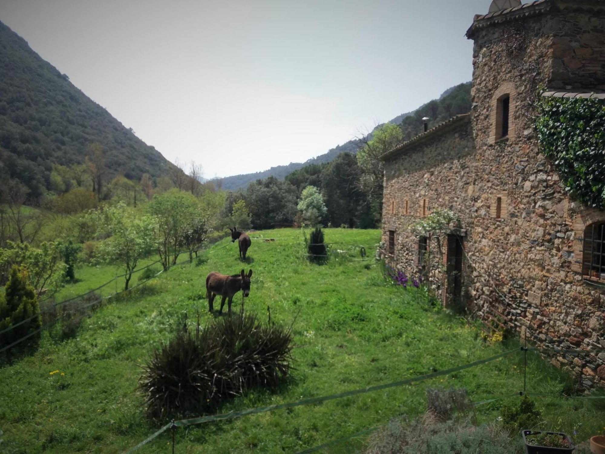 Bed And Breakfast Casanova De Sant Miquel Aiguafreda Buitenkant foto